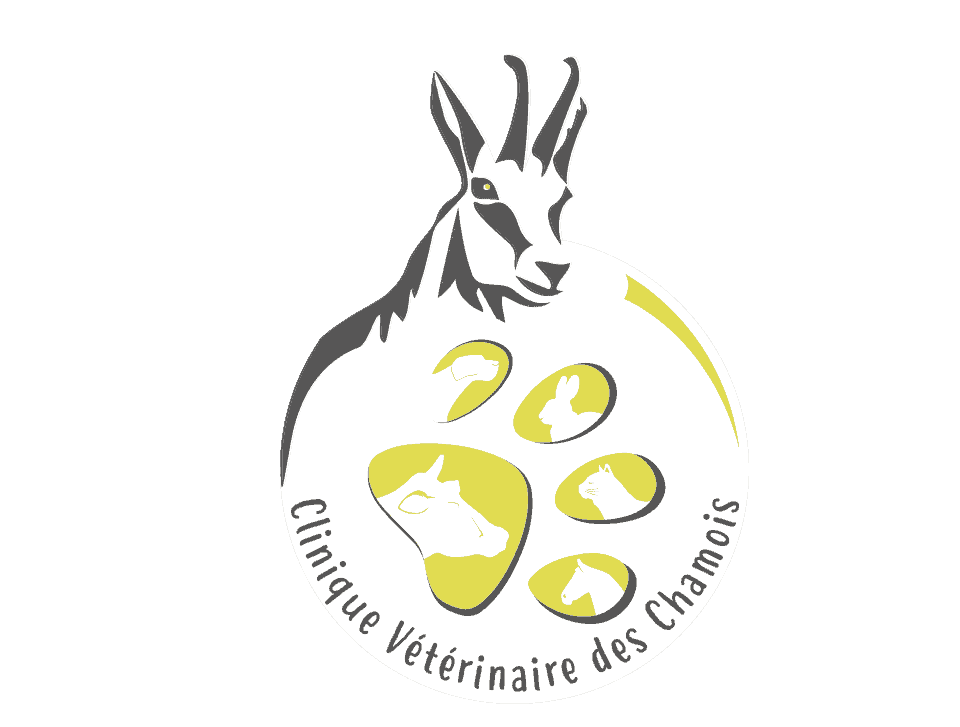 logo clinique des chamois